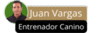 juanvargasentrenamientocanino.com